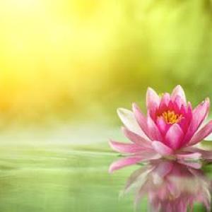 Oase der Ruhe und Entspannung