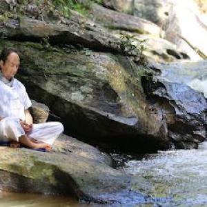 Life Sensei UK