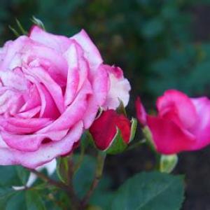 Uwe-Jens Bratkus-Fünderich