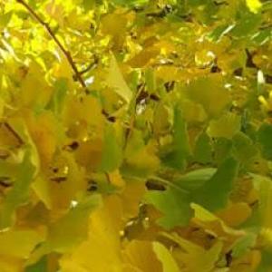 Gemeinsam unterwegs - Coaching, das bewegt