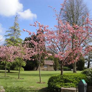 Rylstone Gardens