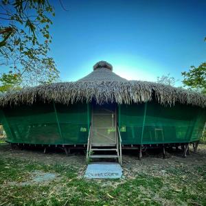 Niwe Isa (The Flying Bird)