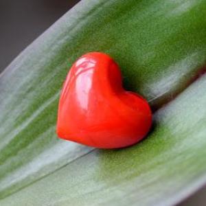 Herzensangelegenheit Coaching