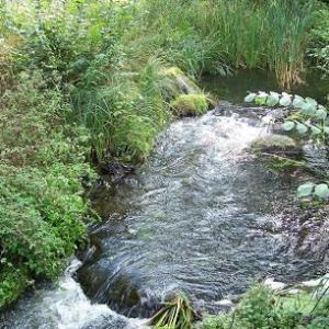 Natürlich Coaching - Kathrin Gabriele Möller