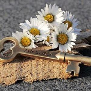 BizzHealth Consulting - Coaching