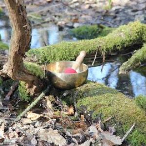 inner move - Ganzheitliches Coaching