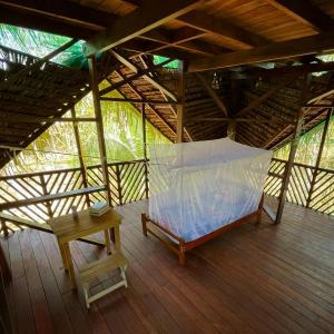 Niwe Isa (The Flying Bird)