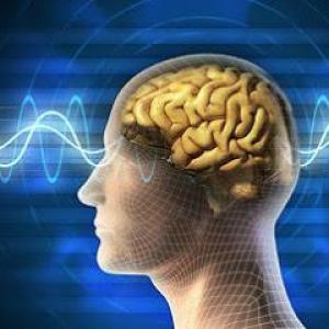 Bärbel Honig - Neurobiologisches Coaching