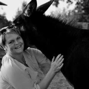 Asinus Team Birgit Witt