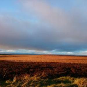 Fully Present Mindfulness