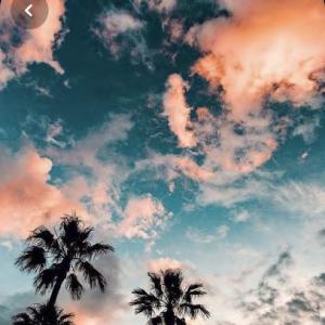 Sophie Lois Coaching