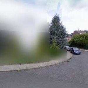 Leben aus erster Hand