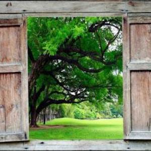 Melanie Nitsch Coaching & Beratung