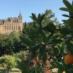 Ahrtal-Coaching Thomas F. Kramer