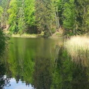 Selfesteam Academy Dresden