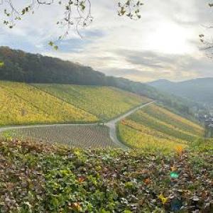 Begegnung erLeben – Andreas Sawatzki