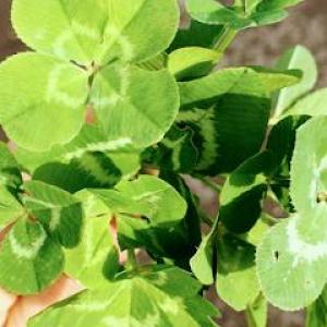 Back to Power - Access Consciousness Bars®