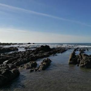 Blue Water Coaching