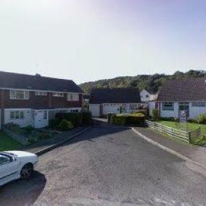 Amethyst Coaching & Training