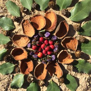 Familia Feliz Community Garden