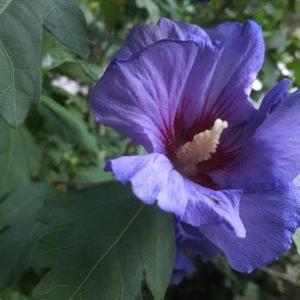 Fachpraxis für Kontrolliertes Trinken