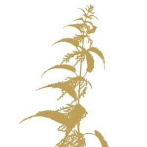 fu-om-coaching Anke Rebetje