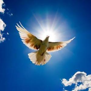 Breakthrough Therapies & Coaching CBT|EFT|NLP