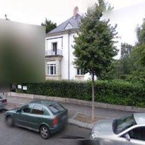 neurolines I Andrea Schlösser