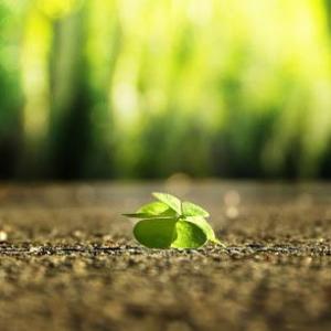 Daniela Becker – Energiearbeit