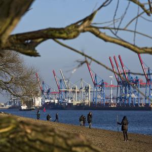 Strandperle am Elbstrand