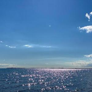 MasterMind-Coach Kai Pawlowski