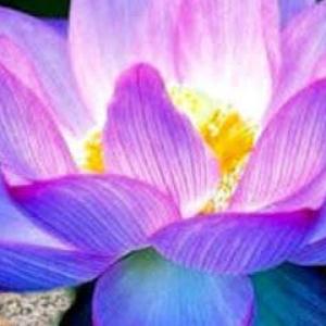 Vitallifecoaching.co.uk