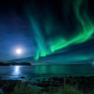 Life Coach Der nordische Heiler