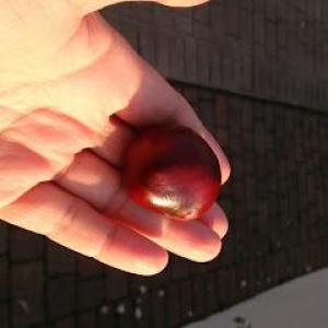 The Life Coach Manchester