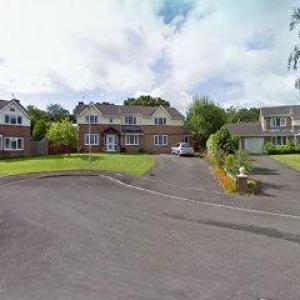 Lizard Life Coaching