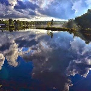 Counselling & Coaching Solutions