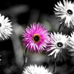 Nicola Shelley Coaching