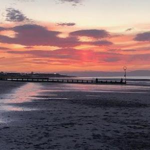 Professional Friends