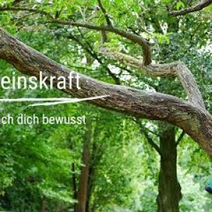 Seinskraft Waldbaden NRW