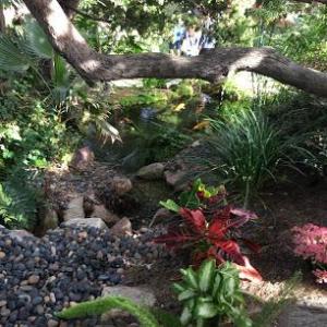 Lifemanagement.today - Innere-Autonomie