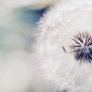 Mindfulness West London