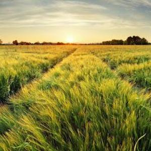 Coaching - Britta von der Lippe