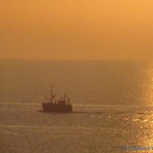 Kreative Entfaltung - Coaching, Schreibtraining