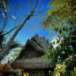 Niwe Isa (The Flying Bird)