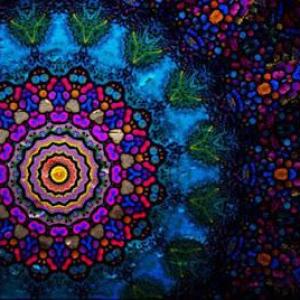 Sabine Greulich – Bildung zur Demenz