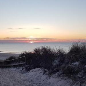 Neubeginn - Claudia Meier Coaching