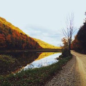 Free Your Inner Self