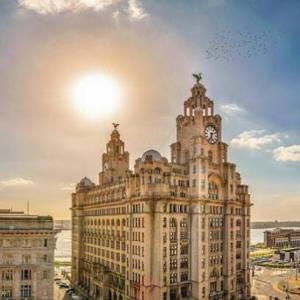 Dalton Wise Coaching and Therapy