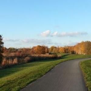 Sven Lehmkuhl Coaching