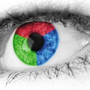 The Success Mindset - Life Coaching